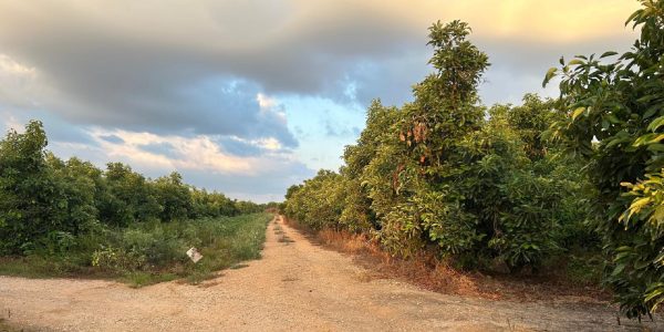 Joanne's blog 52 - in het noorden de periferie van Israël